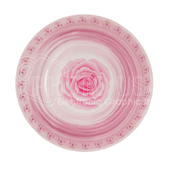10Pink-Lace-Plate11.jpg
