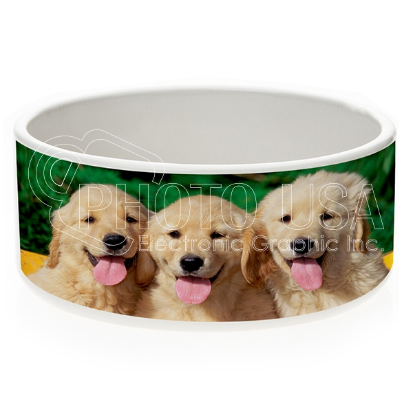 Ceramic Dog Bowl
