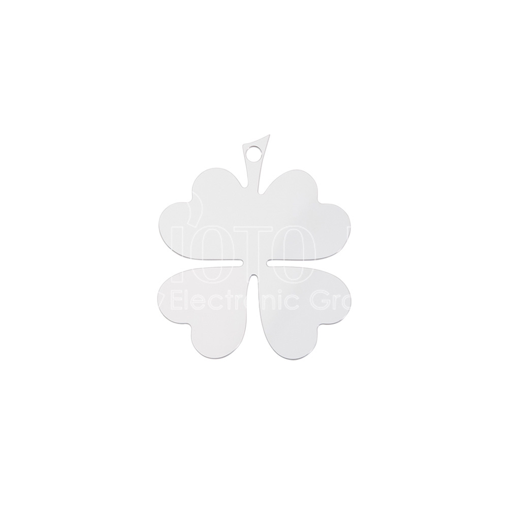 Variant 1