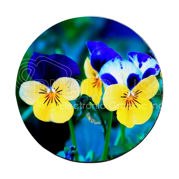 Coaster-600-6-0.webp
