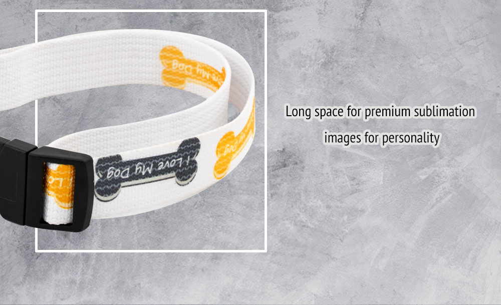 Dog-Collar-mail-2.jpg