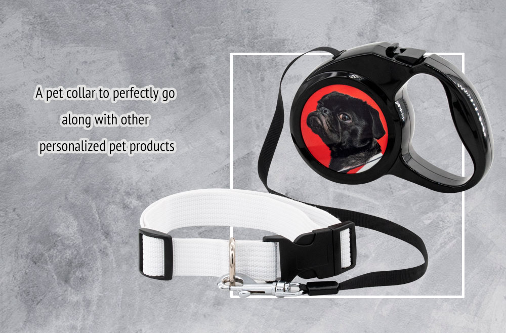 Dog-Collar-mail-3.jpg