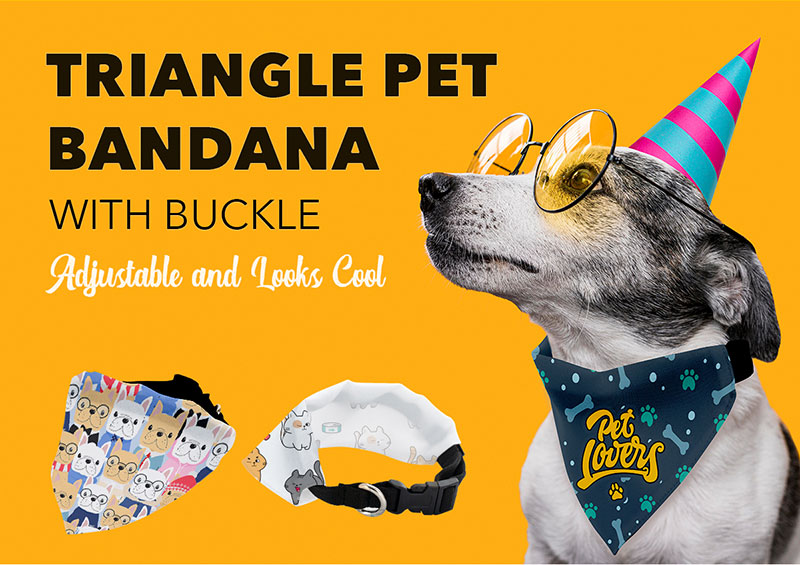 Newsletter_Pet-Bandana-1.jpg