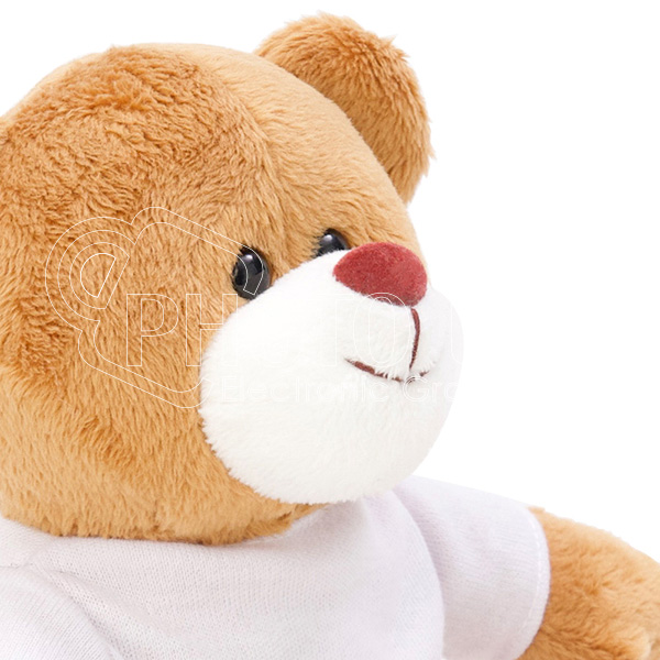 Teddy-bear-600-11-0.jpg