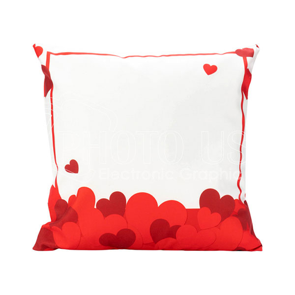 Theme-pillow-600-4.webp