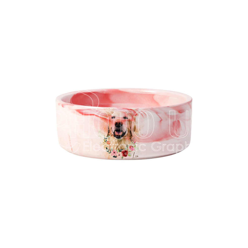 pet-bowl-1000-2-0.jpg
