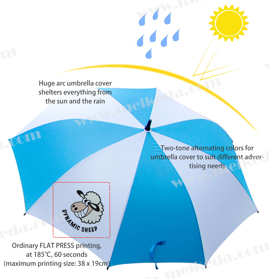 umbrella33.jpg